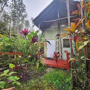 2-rustic Private Near Volcano National Park , Fern Forest United States